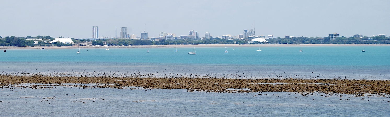 Darwin City View