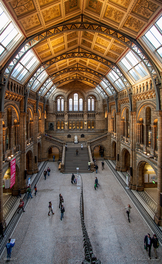 Darwin Museum in London