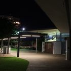 Darwin @ Night XI