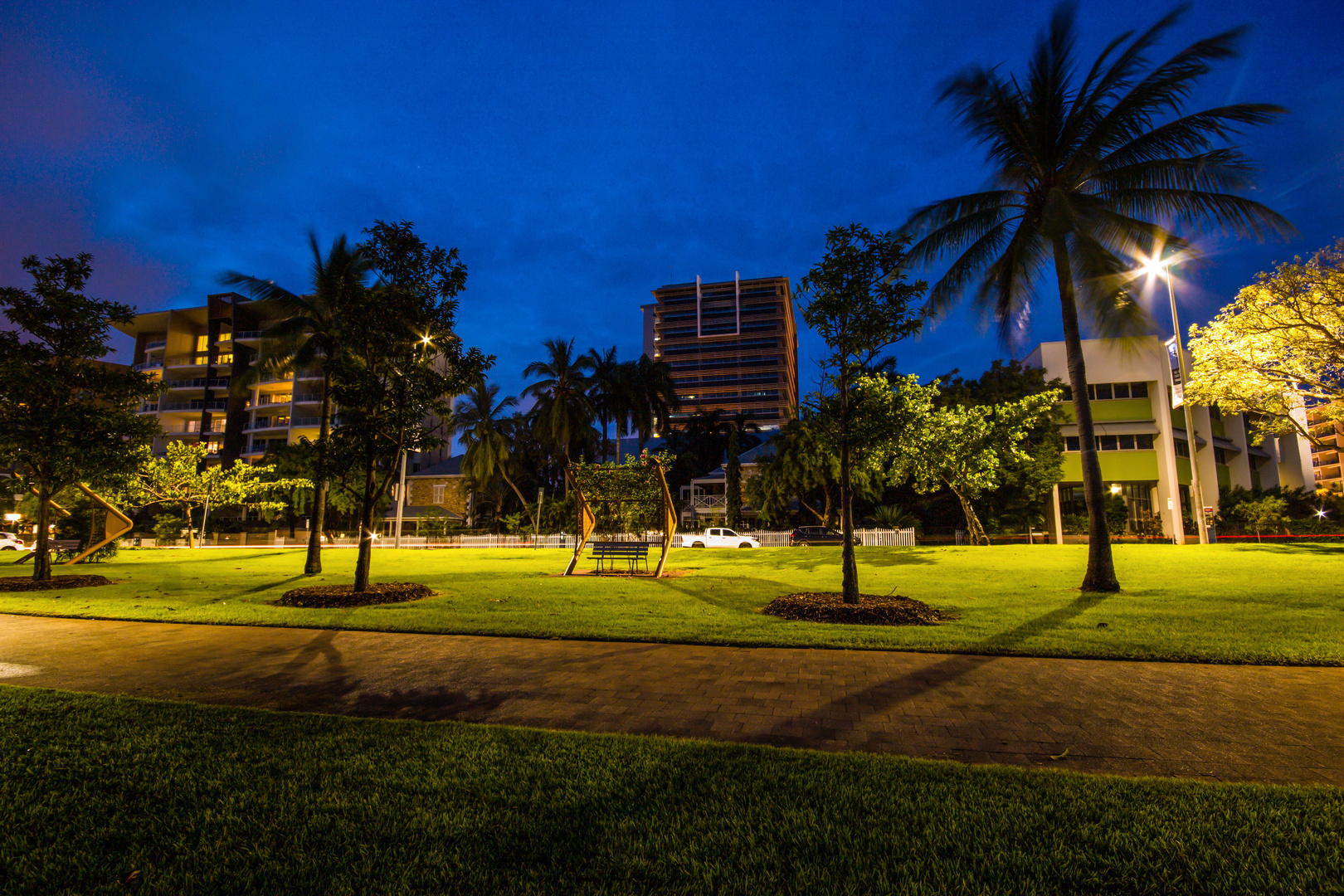 Darwin @ Night XIX