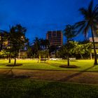 Darwin @ Night XIX