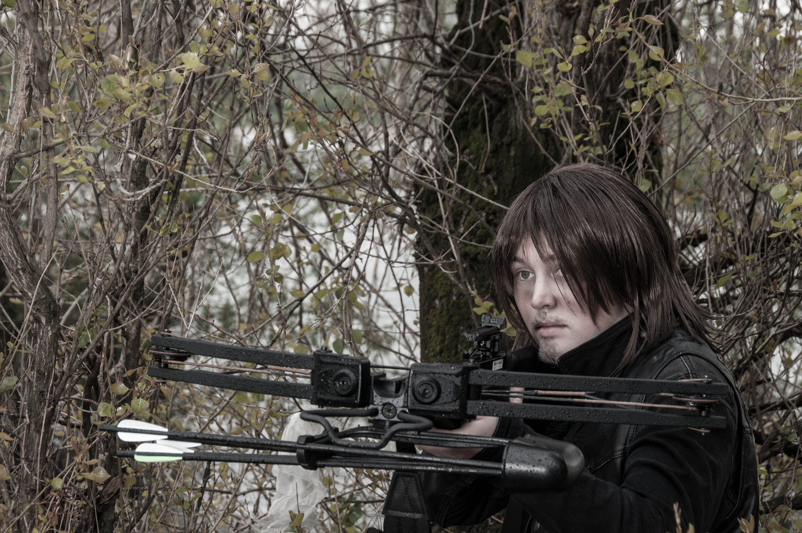 Daryl 3