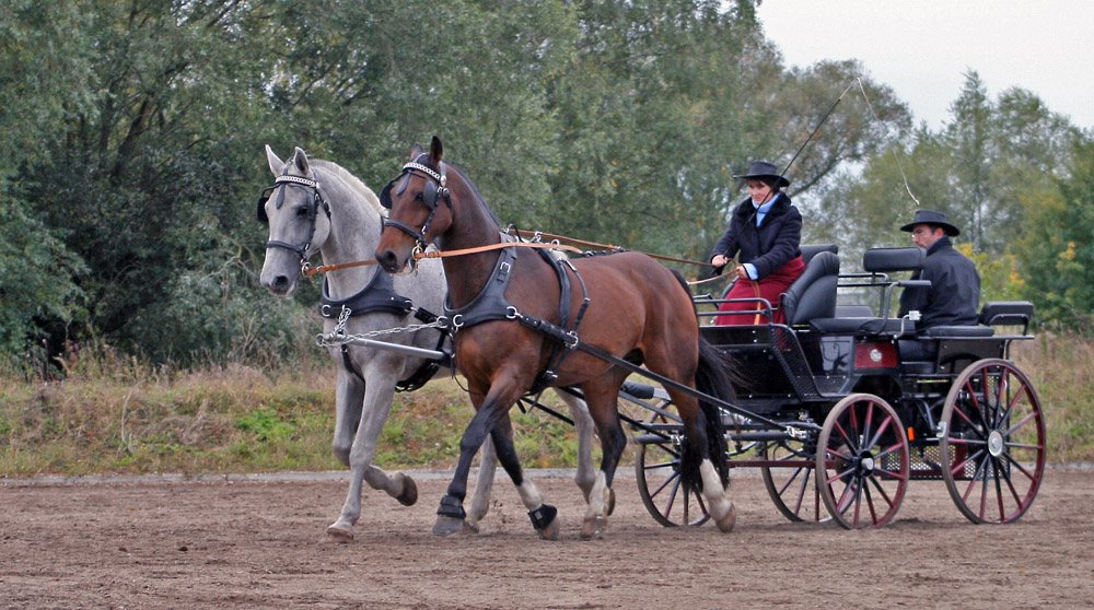 Das 1. Turnier - Marienheim Okt. 08