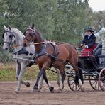 Das 1. Turnier - Marienheim Okt. 08