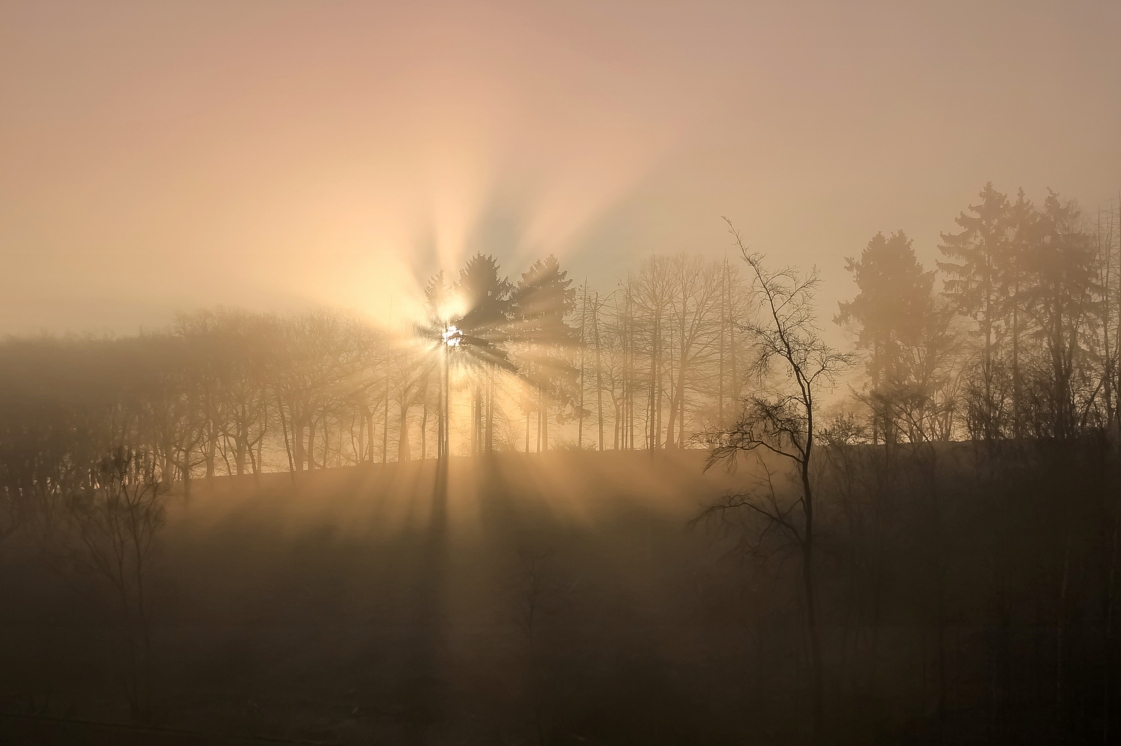 Das 1000. Foto