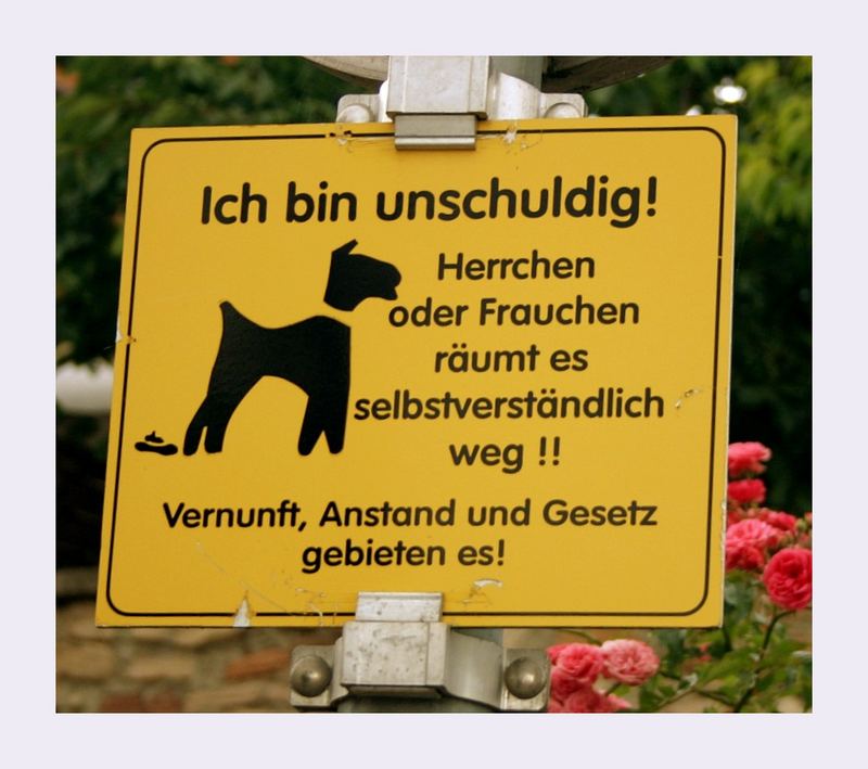 Das 11`te Gebot der Gläubigen Hundebesitzer !