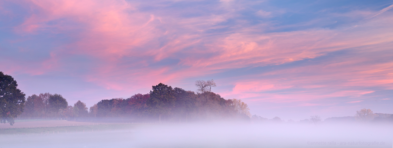 Das Aatal - eingehüllt im Nebel