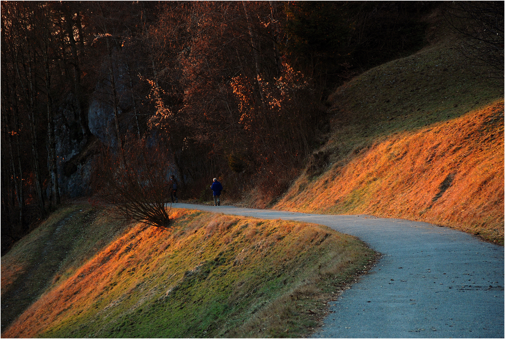 Das Abendlicht bringt den Herbst zurück