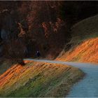 Das Abendlicht bringt den Herbst zurück