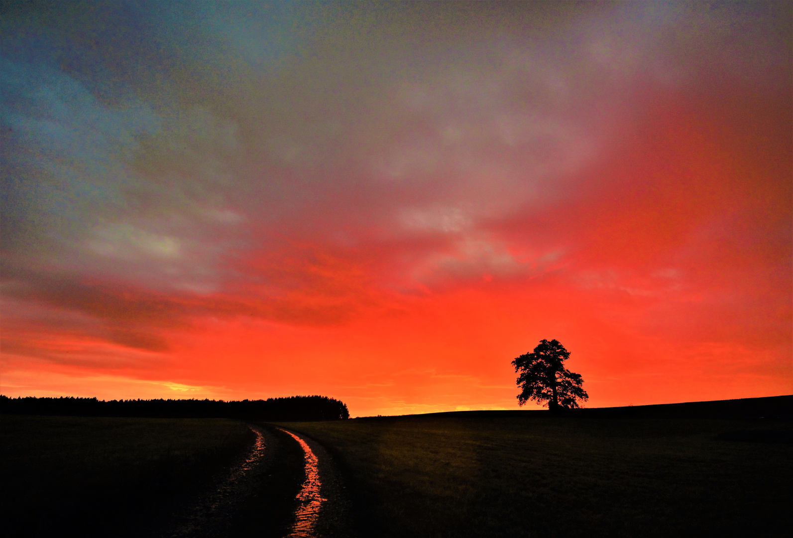 Das Abendrot