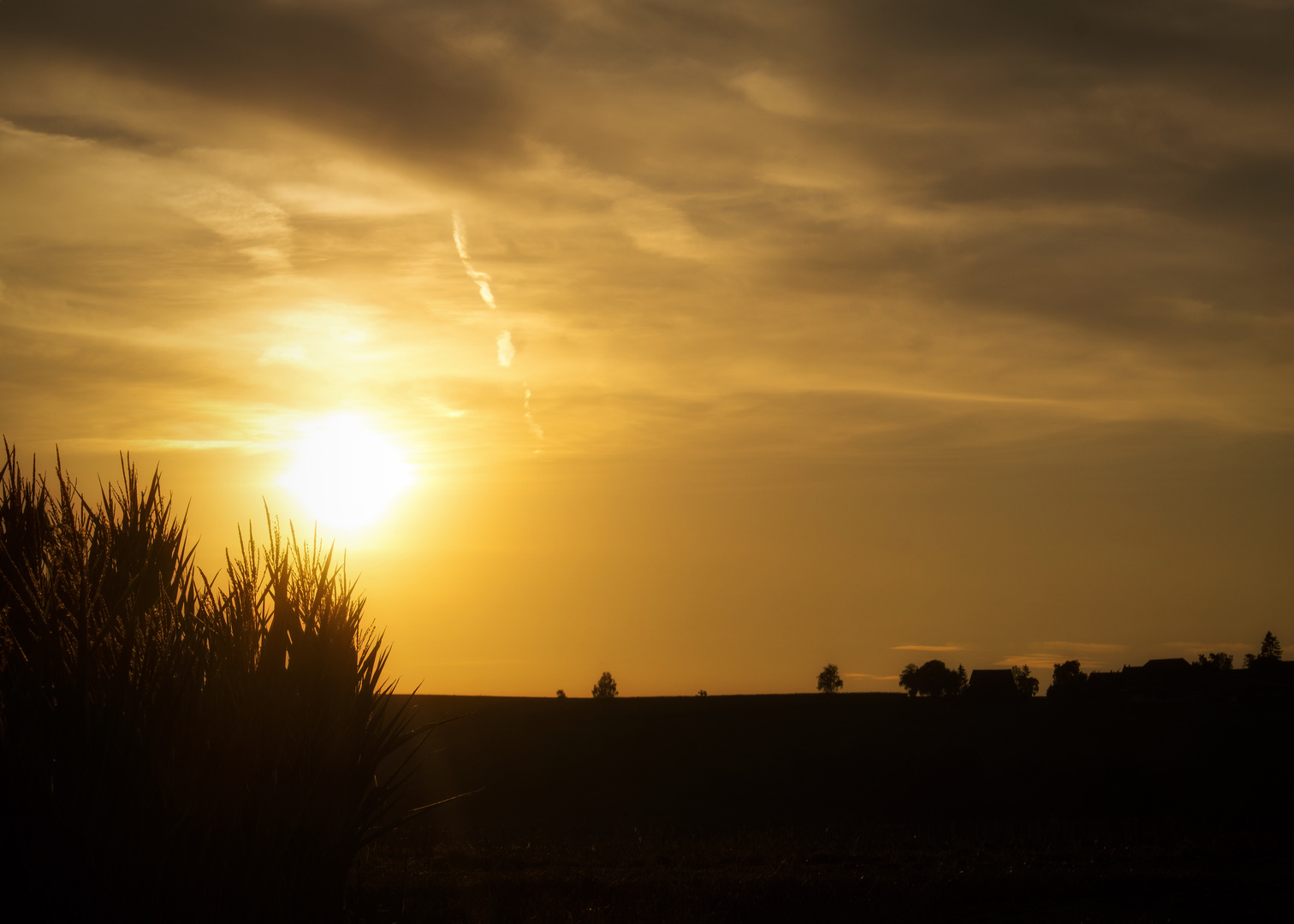 das abendrot