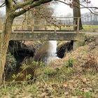 Das abgelassene Wasser fließt im Graben zu einem Koi-u. Karpfenteich auf der anderen Seite...