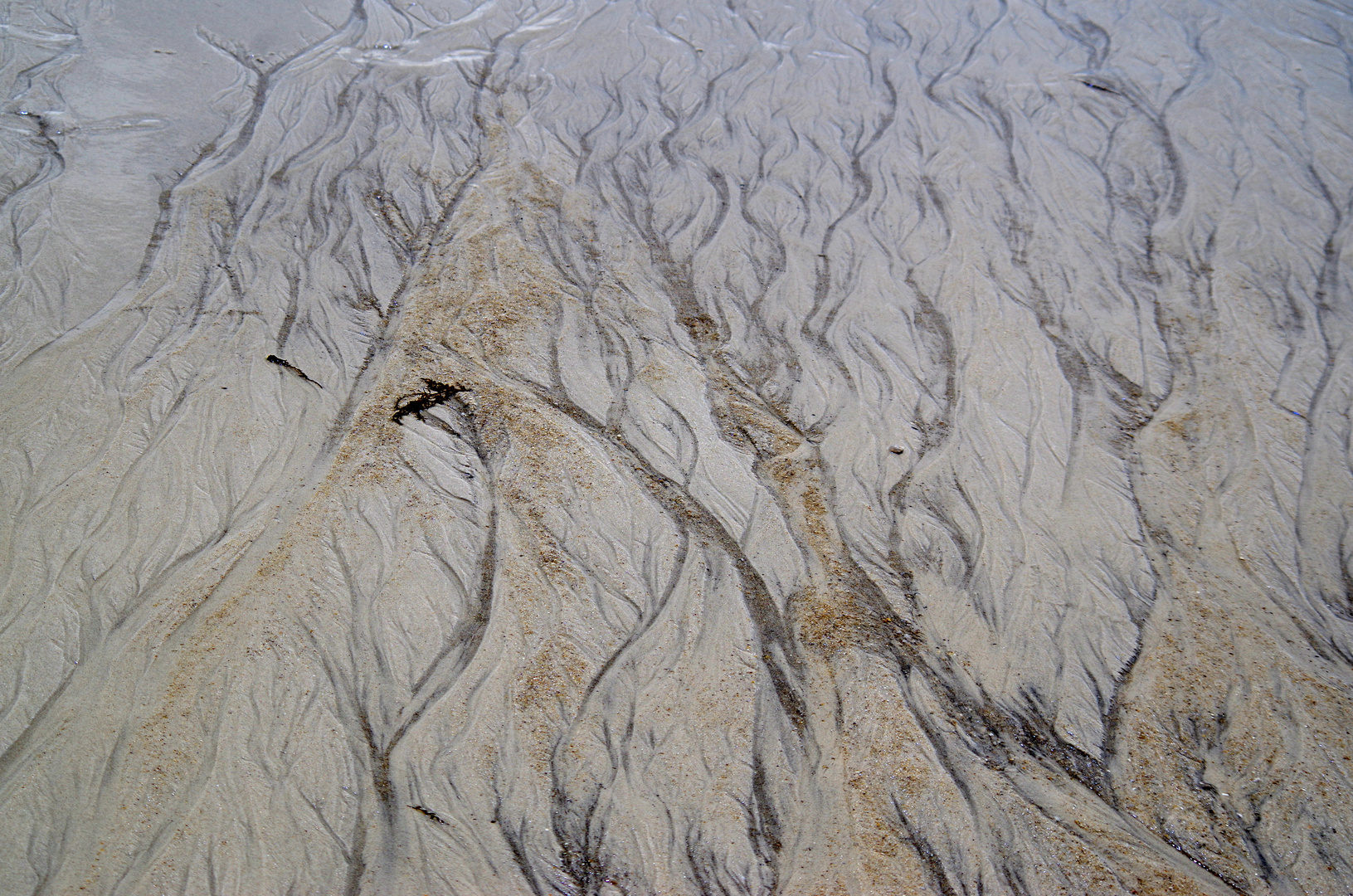 Das ablaufende Wasser zeichnet seine Spuren in den Sand