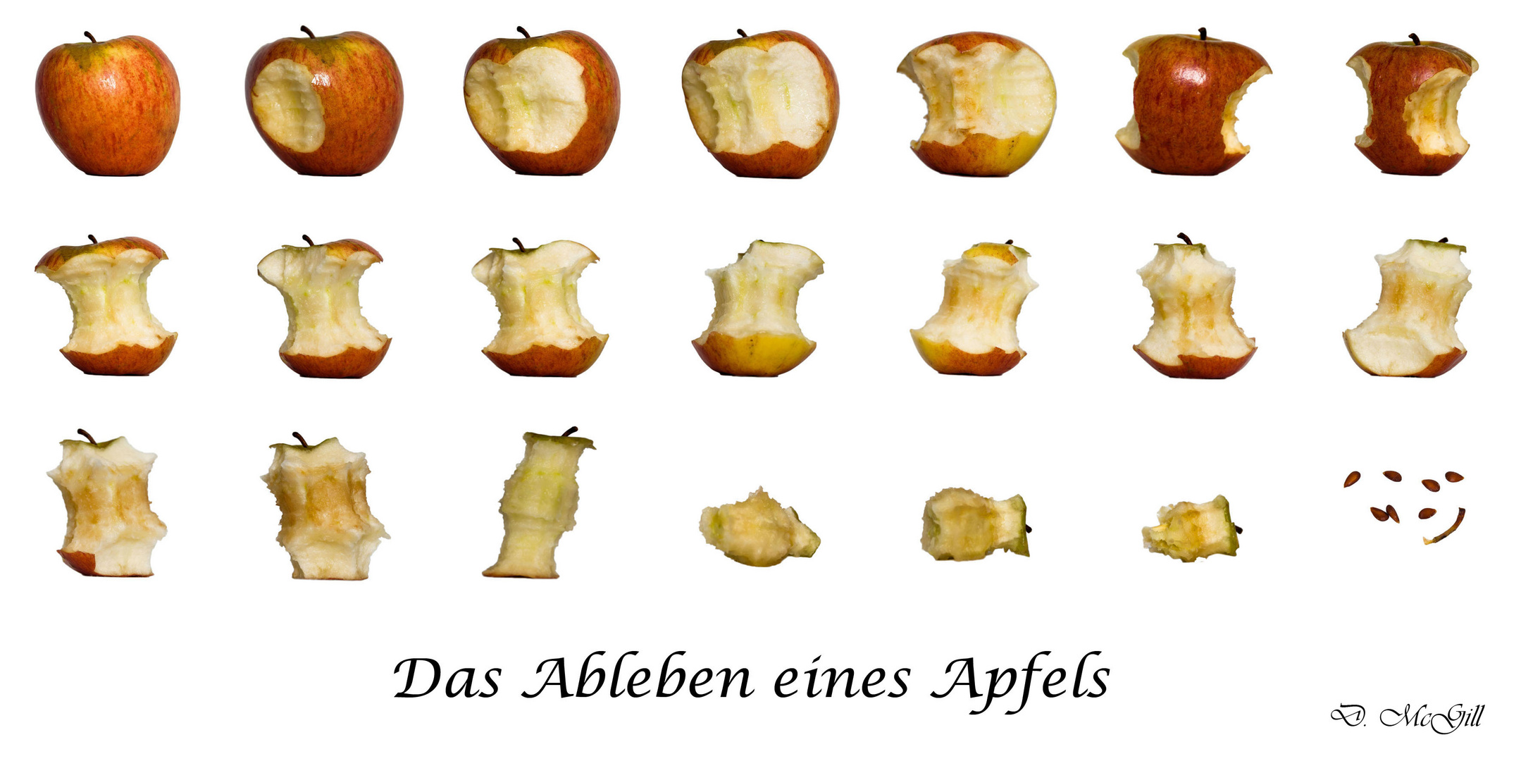 Das Ableben eines Apfels