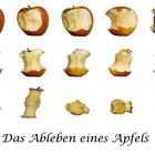 Das Ableben eines Apfels