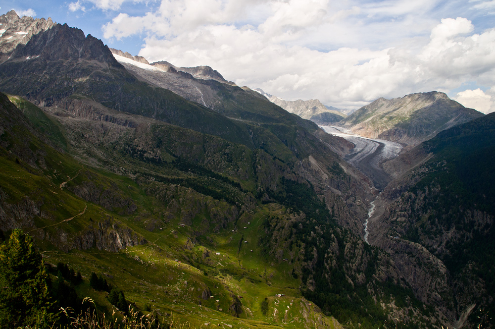 Das Aletschji beim Aletschgletscher, Wallis, Schweiz