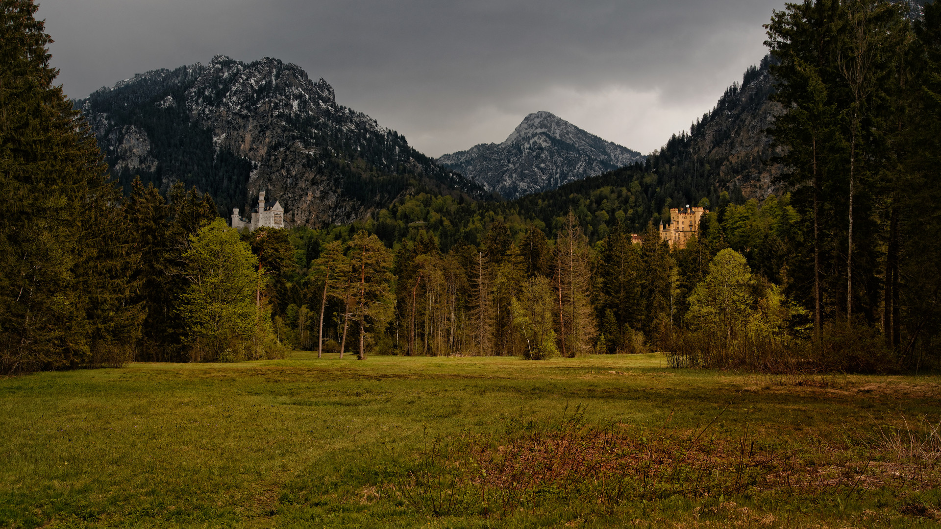 Das Allgäu