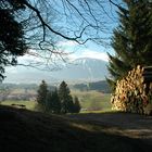 Das Allgäu