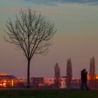 Das Alpenglühen am Rhein