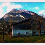 Das alte Bauernhaus  /  an old farm