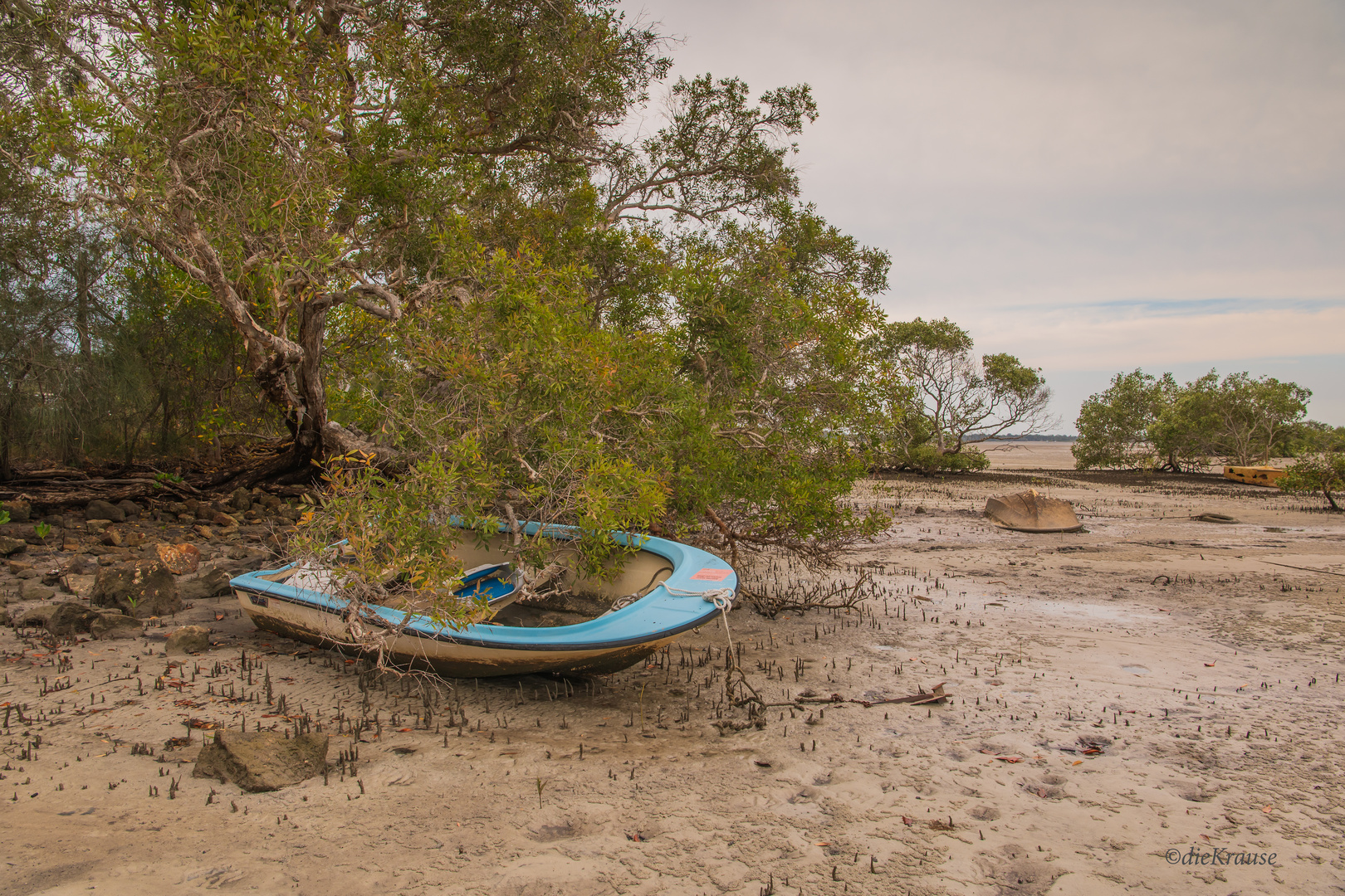 das alte Boot 