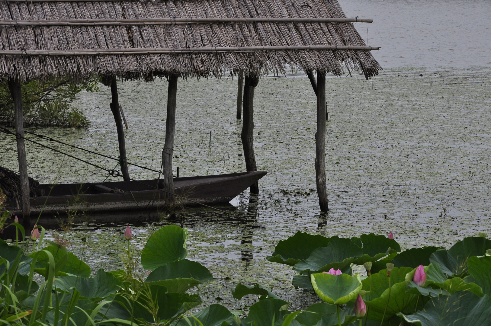 das alte Boot