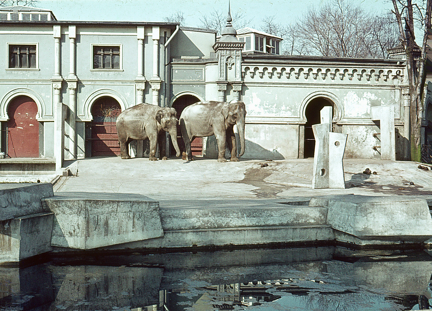 Das alte Elefantenhaus im Kölner Zoo - im Jahr 1964