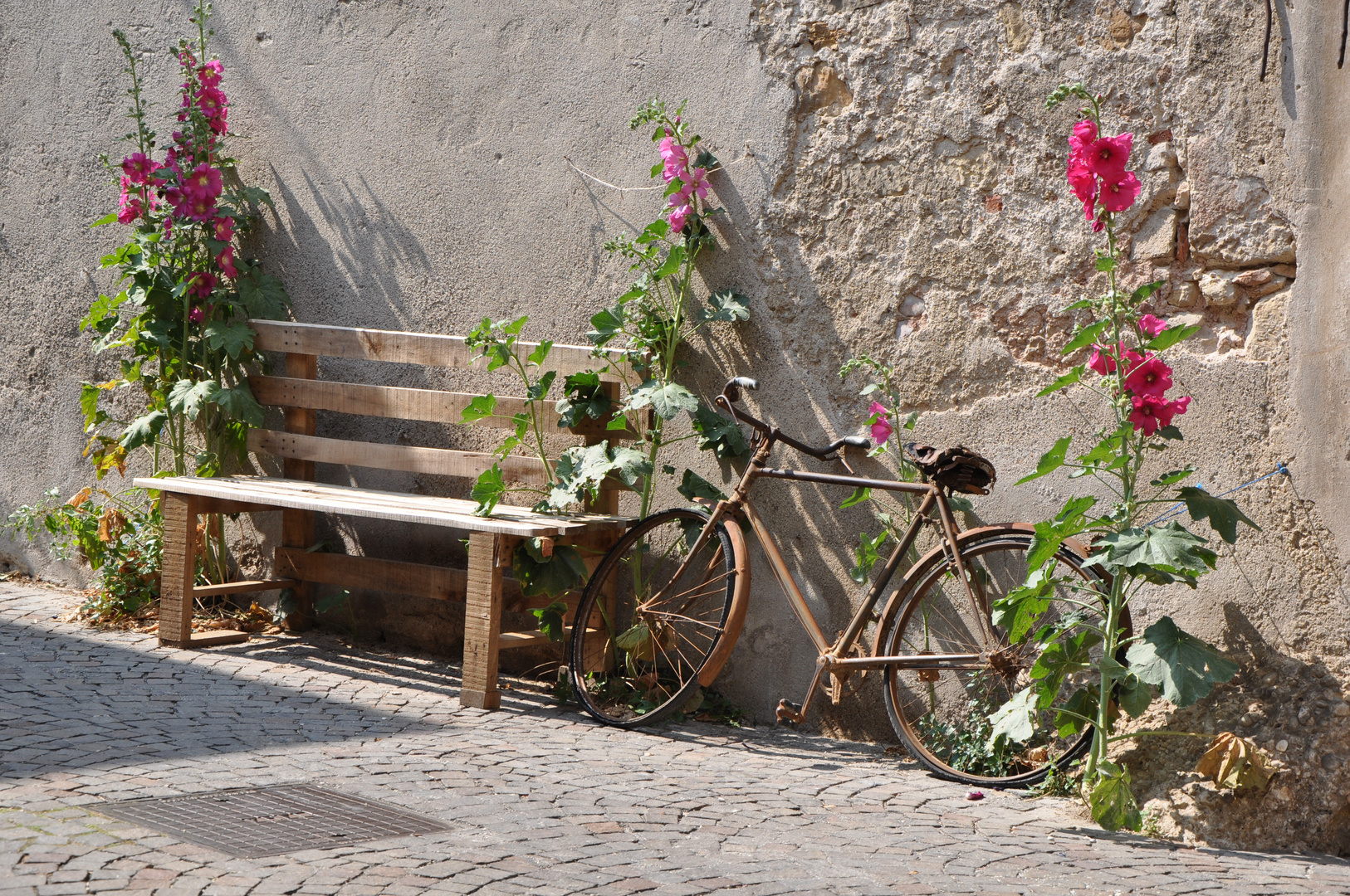 Das alte Fahrrad