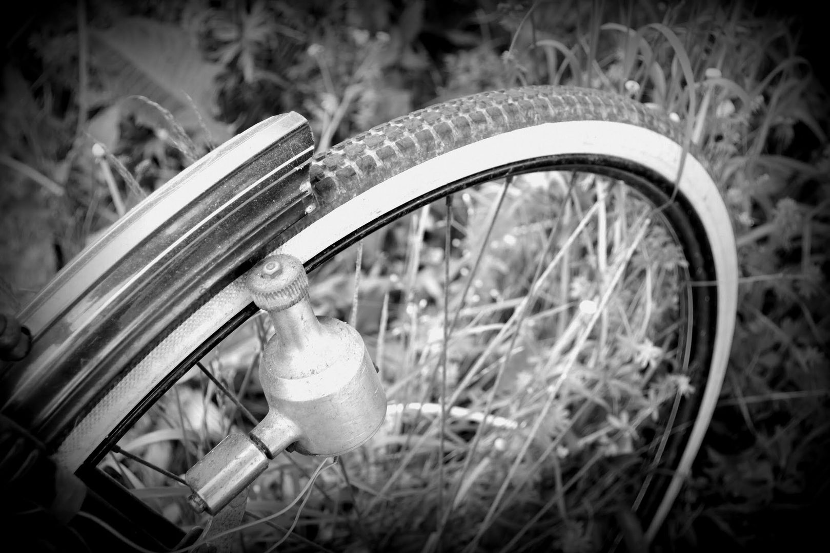 Das alte Fahrrad