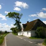 Das alte Friesenhaus und der windgepeitschte Baum