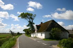 Das alte Friesenhaus und der windgepeitschte Baum