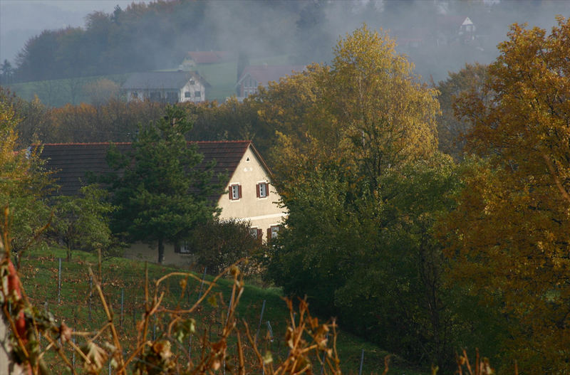 Das alte Haus