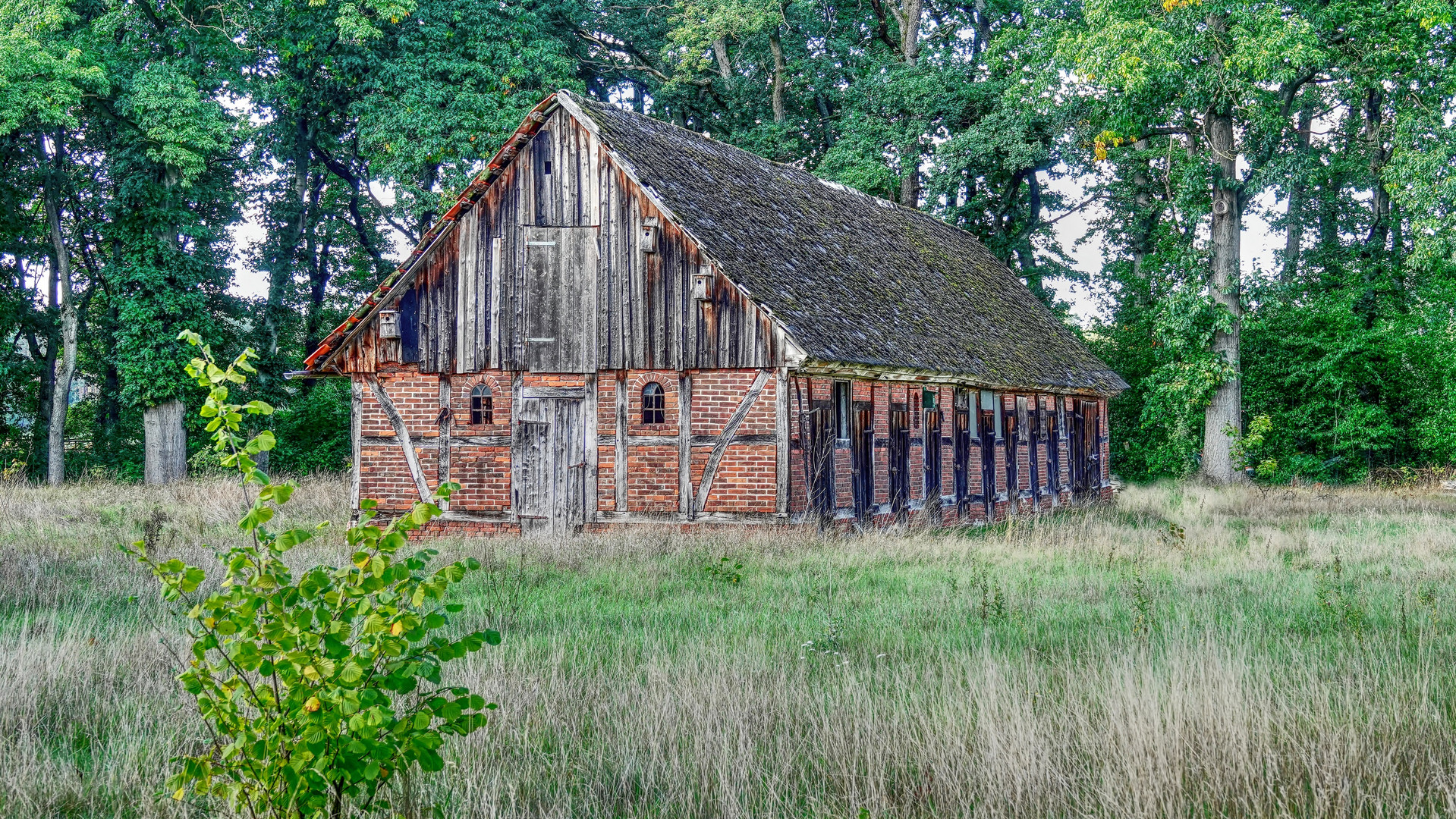 Das alte Haus