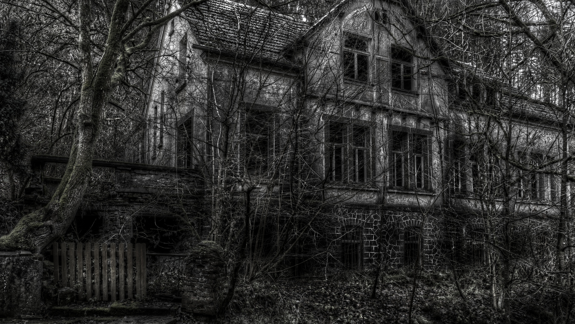 Das alte Haus im Wald