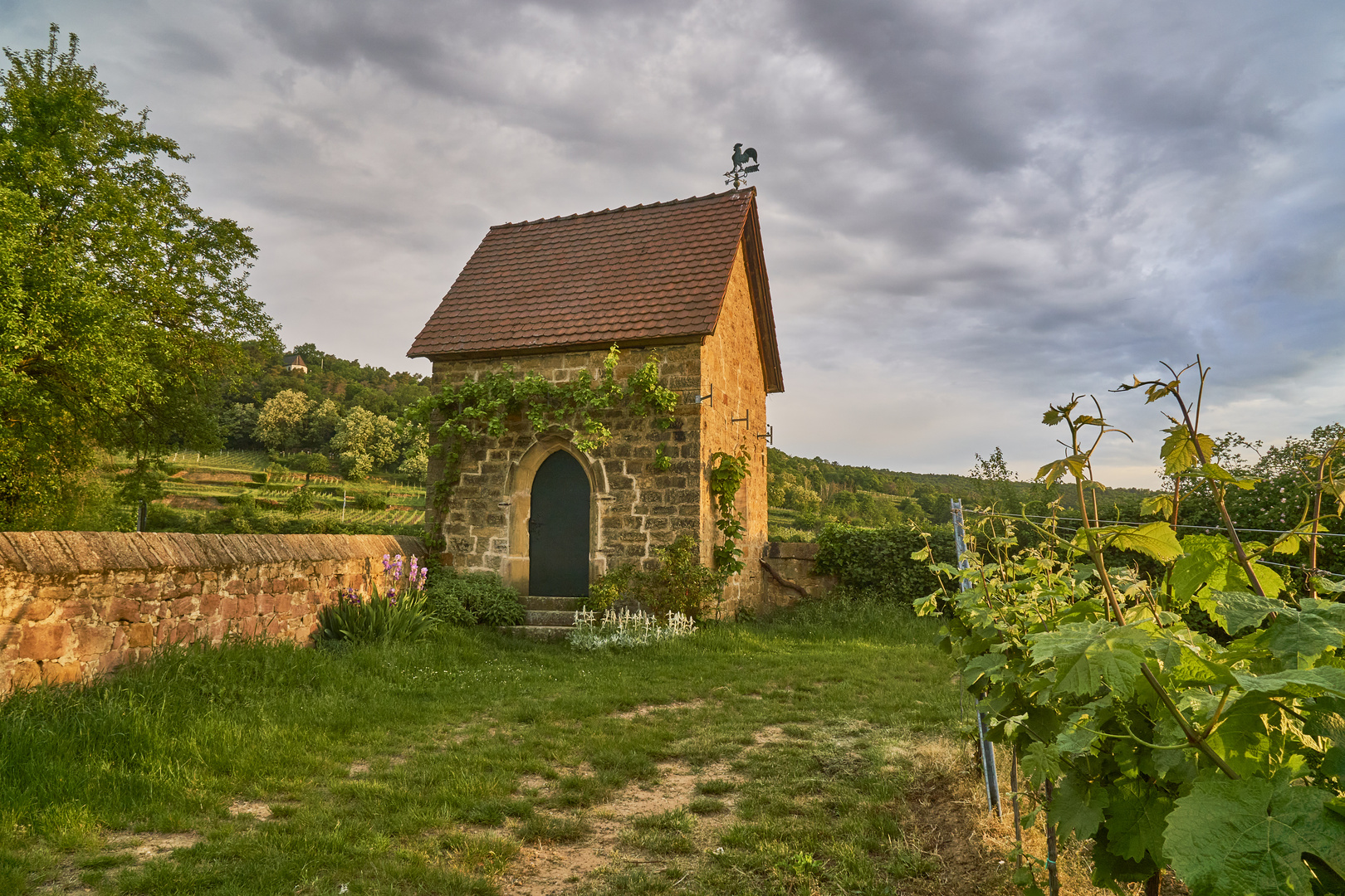 Das alte Haus im Weinberg