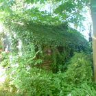 Das alte Haus in meinen Garten