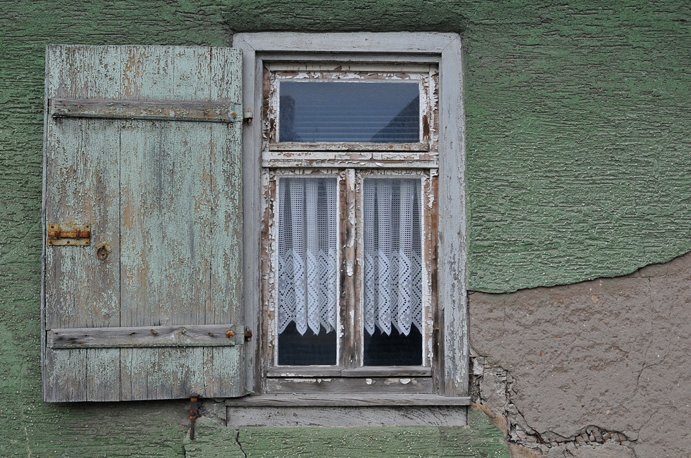 Das alte Haus und der (scheinbar) unverwüstliche Baum 03