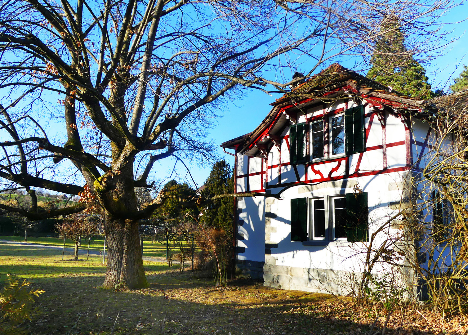 Das alte kleine Haus am See