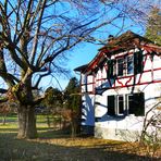 Das alte kleine Haus am See