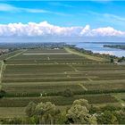 Das Alte Land - Obstanbau an der Elbe...