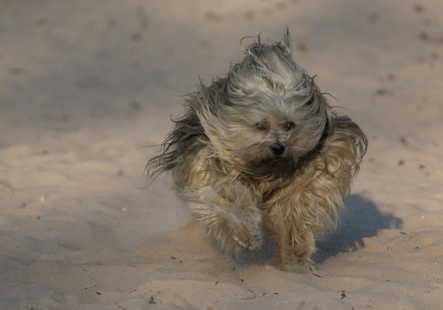 Das alte Mädchen und der Sand.....