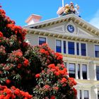 Das alte Regierungsgebäude in Wellington - Neuseeland