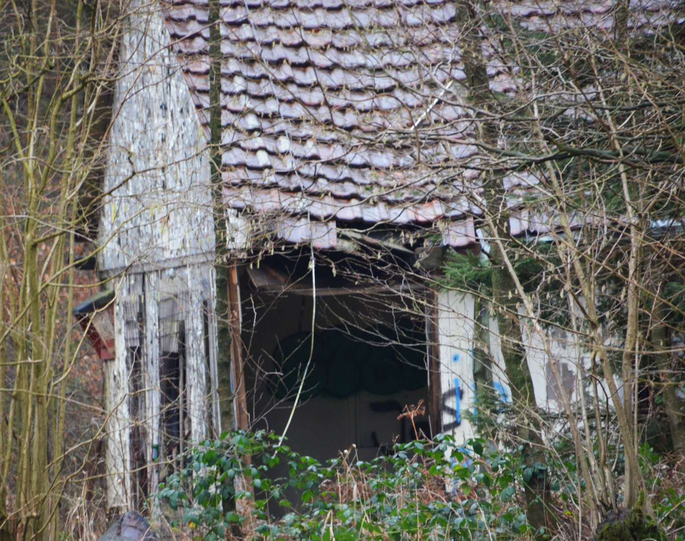 Das alte Waldkrankenhaus