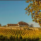 DAS ALTE WEINGUT