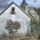 Das alte Wochenendhaus mit Rosen