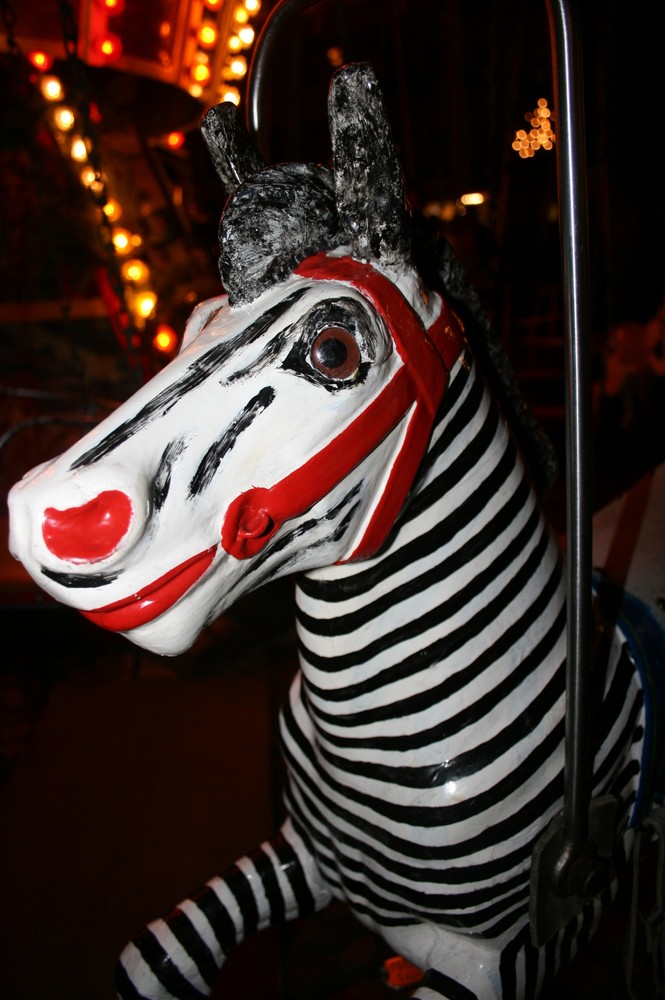 DAS ALTE ZEBRA