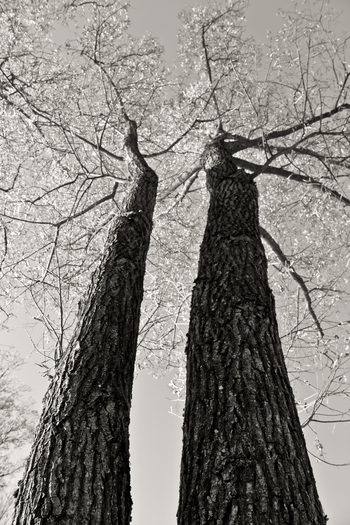 Das Alter der Natur