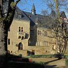Das Alzeyer Schloss