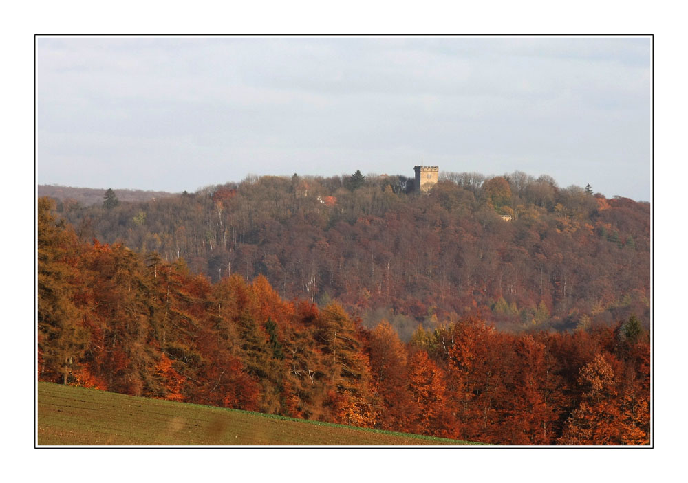 Das Ambergau im Herbst