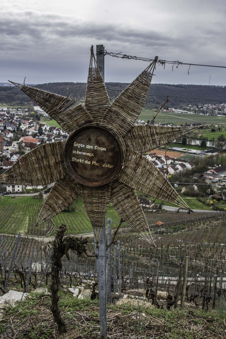 Das andere Blümchen